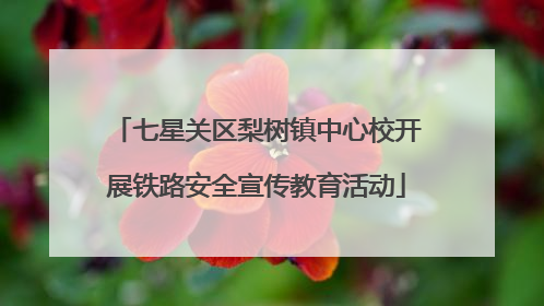 七星关区梨树镇中心校开展铁路安全宣传教育活动