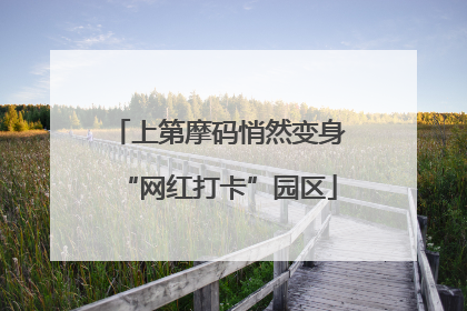 上第摩码悄然变身“网红打卡”园区