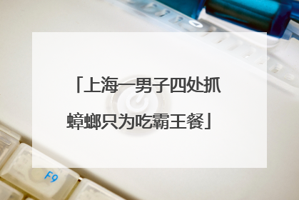 上海一男子四处抓蟑螂只为吃霸王餐