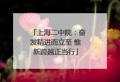 上海二中院：奋发精进而立至 惟新跨越正当行