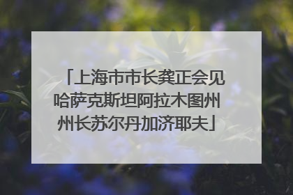 上海市市长龚正会见哈萨克斯坦阿拉木图州州长苏尔丹加济耶夫