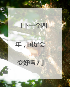 下一个四年，国足会变好吗？