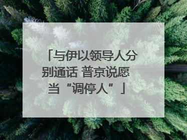 与伊以领导人分别通话 普京说愿当“调停人”