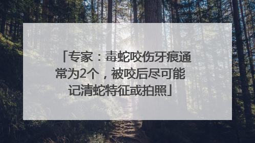 专家：毒蛇咬伤牙痕通常为2个，被咬后尽可能记清蛇特征或拍照