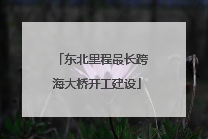 东北里程最长跨海大桥开工建设