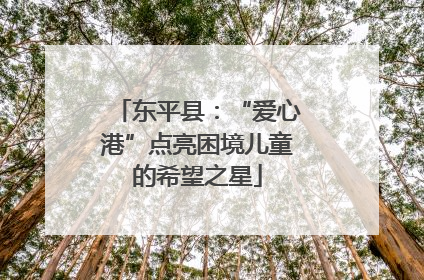 东平县：“爱心港”点亮困境儿童的希望之星