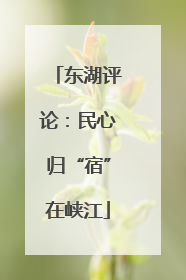 东湖评论：民心归“宿”在峡江