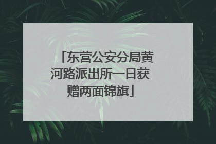 东营公安分局黄河路派出所一日获赠两面锦旗