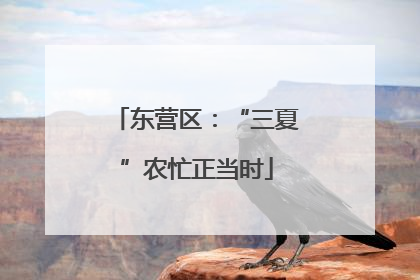 东营区：“三夏”农忙正当时