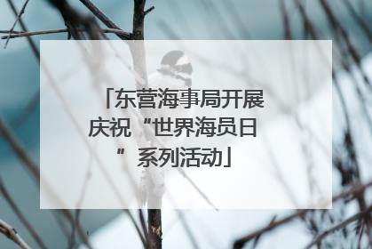 东营海事局开展庆祝“世界海员日”系列活动