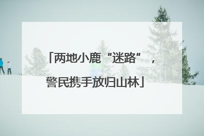 两地小鹿“迷路”，警民携手放归山林
