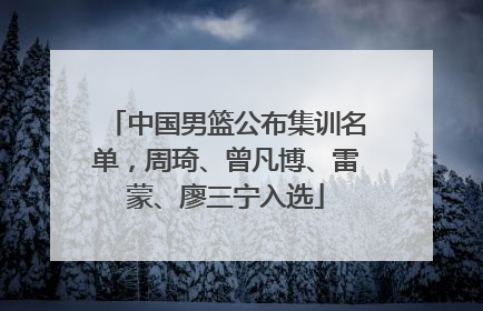 中国男篮公布集训名单，周琦、曾凡博、雷蒙、廖三宁入选