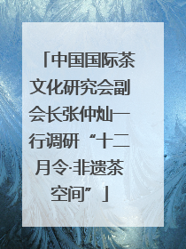 中国国际茶文化研究会副会长张仲灿一行调研“十二月令·非遗茶空间”