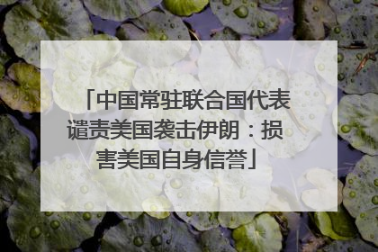 中国常驻联合国代表谴责美国袭击伊朗：损害美国自身信誉