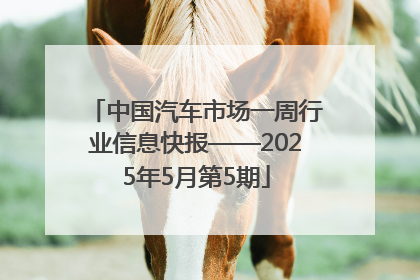 中国汽车市场一周行业信息快报——2025年5月第5期