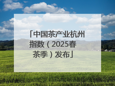 中国茶产业杭州指数（2025春茶季）发布