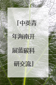 中英青年海南开展蓝碳科研交流