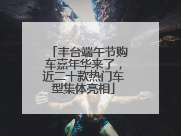丰台端午节购车嘉年华来了，近二十款热门车型集体亮相