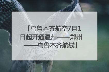 乌鲁木齐航空7月1日起开通温州——郑州——乌鲁木齐航线