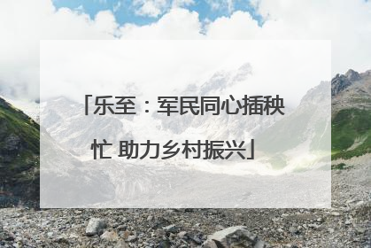 乐至：军民同心插秧忙 助力乡村振兴