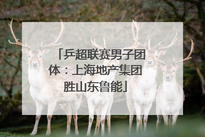 乒超联赛男子团体：上海地产集团胜山东鲁能