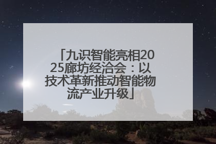 九识智能亮相2025廊坊经洽会：以技术革新推动智能物流产业升级