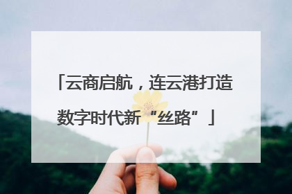 云商启航，连云港打造数字时代新“丝路”