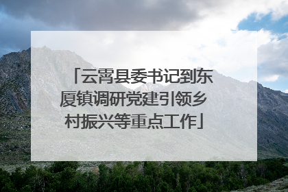 云霄县委书记到东厦镇调研党建引领乡村振兴等重点工作
