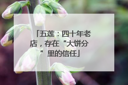 五莲：四十年老店，存在“大饼分”里的信任