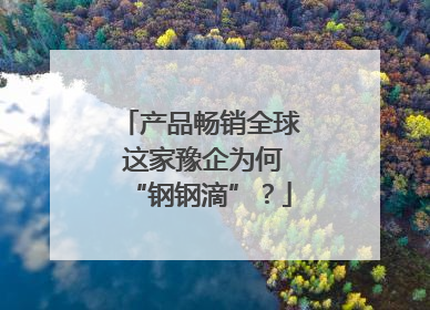 产品畅销全球 这家豫企为何“钢钢滴”？