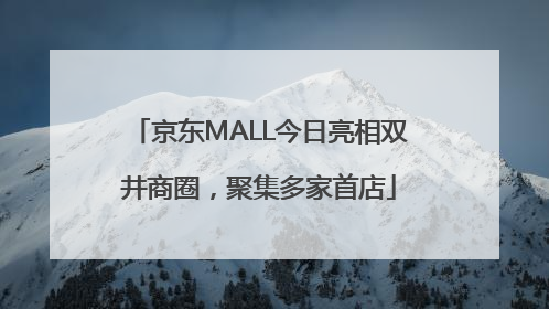 京东MALL今日亮相双井商圈，聚集多家首店