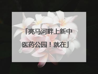 亮马河畔上新中医药公园！就在