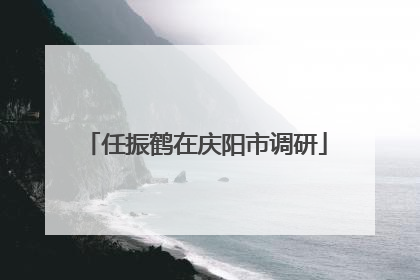 任振鹤在庆阳市调研
