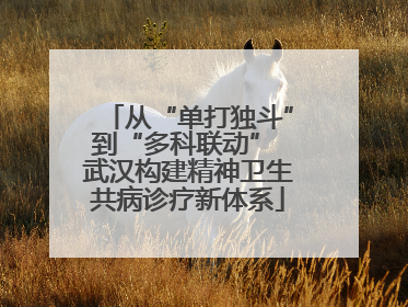 从“单打独斗”到“多科联动” 武汉构建精神卫生共病诊疗新体系