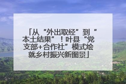 从“外出取经”到“本土结果”！叶县“党支部+合作社”模式绘就乡村振兴新图景