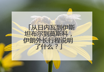 从日内瓦到伊斯坦布尔到莫斯科，伊朗外长行程说明了什么？