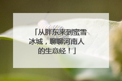 从胖东来到蜜雪冰城，聊聊河南人的生意经！