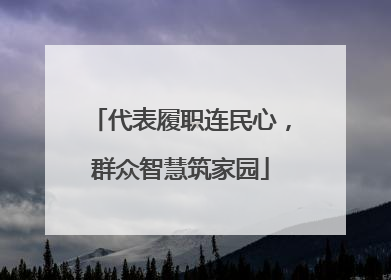 代表履职连民心，群众智慧筑家园