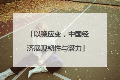 以稳应变，中国经济展现韧性与潜力