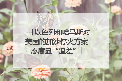 以色列和哈马斯对美国的加沙停火方案态度显“温差”