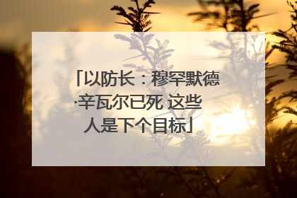 以防长：穆罕默德·辛瓦尔已死 这些人是下个目标