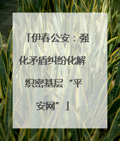 伊春公安：强化矛盾纠纷化解 织密基层“平安网”