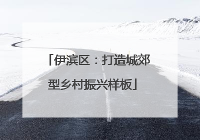 伊滨区：打造城郊型乡村振兴样板