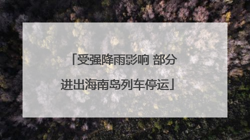 受强降雨影响 部分进出海南岛列车停运