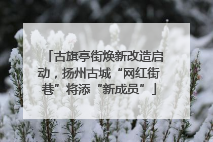 古旗亭街焕新改造启动，扬州古城“网红街巷”将添“新成员”