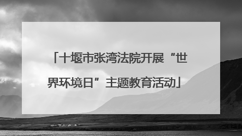 十堰市张湾法院开展“世界环境日”主题教育活动