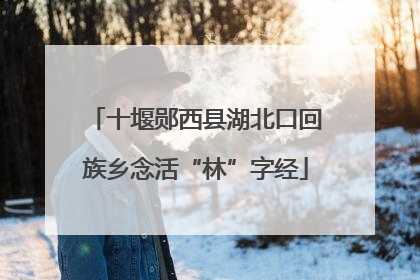 十堰郧西县湖北口回族乡念活“林”字经