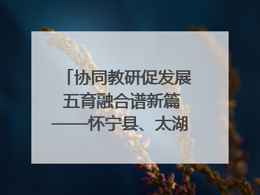 协同教研促发展 五育融合谱新篇——怀宁县、太湖县联合教研活动在月山镇中心学校成功举办