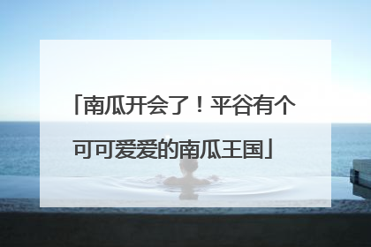 南瓜开会了！平谷有个可可爱爱的南瓜王国