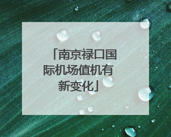 南京禄口国际机场值机有新变化